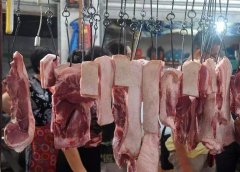 病害肉檢測儀為消費吃上放心肉“保駕護(hù)航”